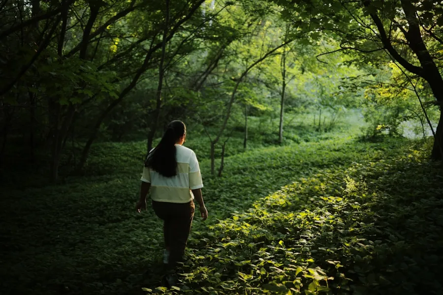 Mujer caminando sola por un sendero soleado en el bosque, en introspección